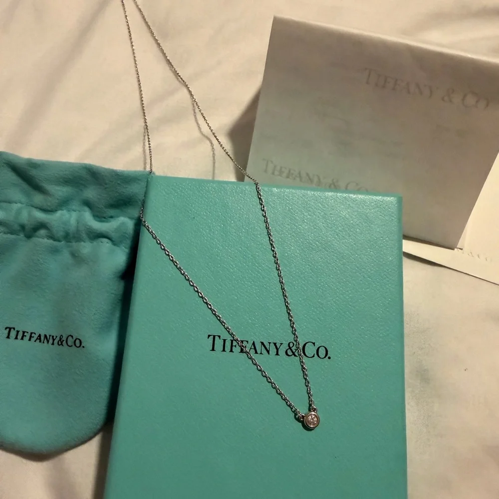 Tiffany & Co. Silver Pendant Necklace - Picture 1 of 3